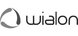 wialon logo
